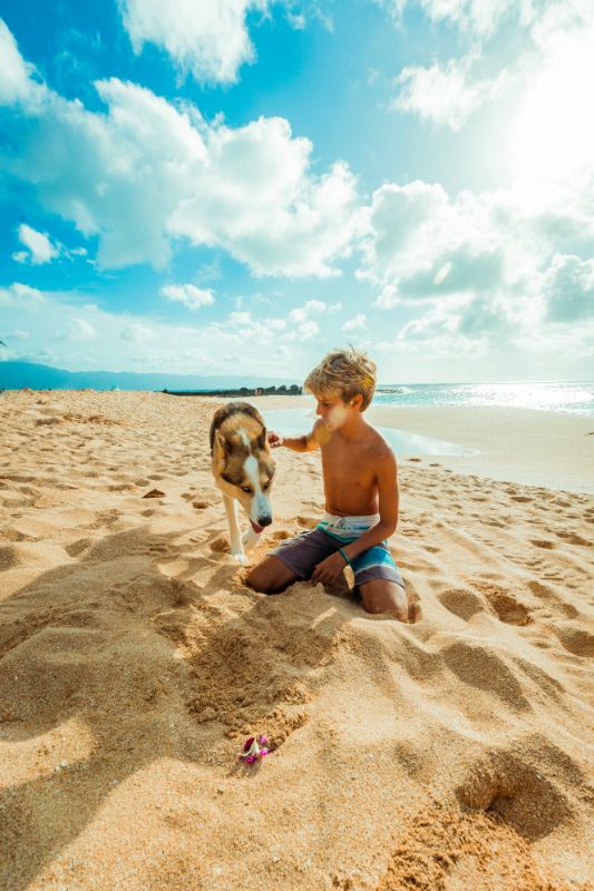 Ein Junge sitzt am Strand und streichelt seinen Hund.
