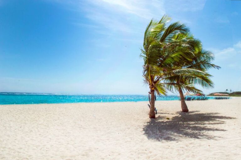 Zwei Palmen auf dem einsamen Mittelmeerstrand.